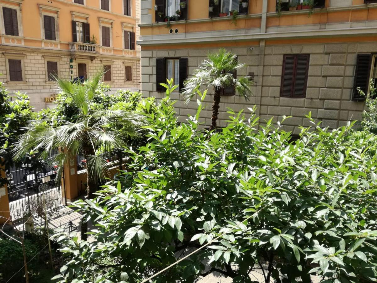 Blue Whale Bed & Breakfast Rome Exterior photo